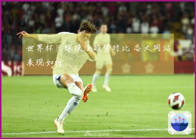 世界杯买球投注趋势对比 各大网站表现如何
