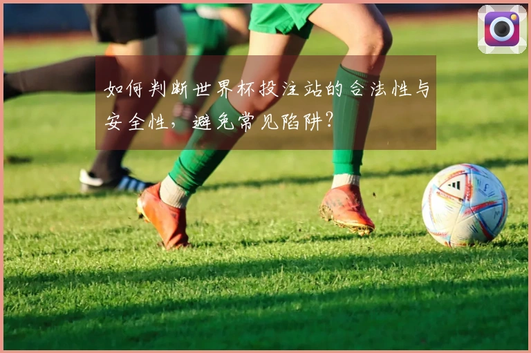 如何判断世界杯投注站的合法性与安全性，避免常见陷阱？