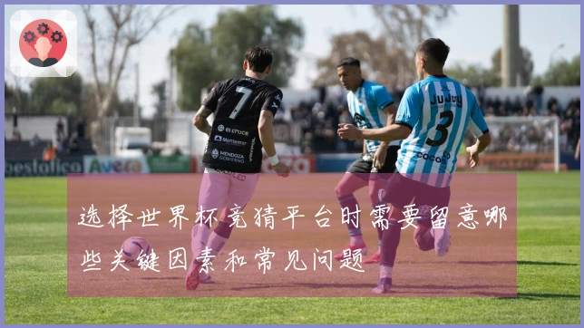 选择世界杯竞猜平台时需要留意哪些关键因素和常见问题