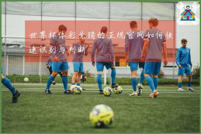 世界杯体彩竞猜的正规官网如何快速识别与判断