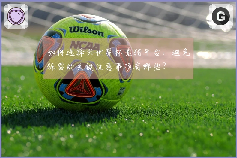 如何选择买世界杯竞猜平台，避免踩雷的关键注意事项有哪些？