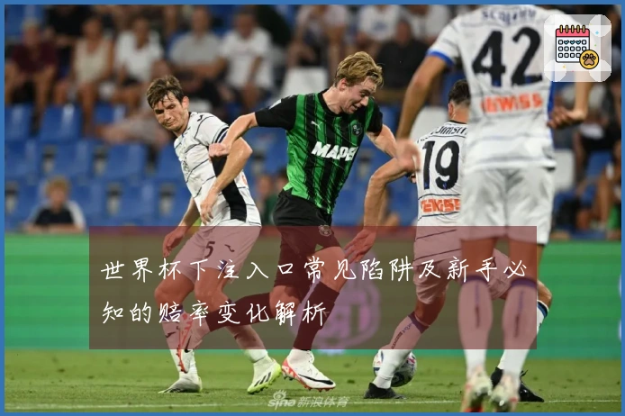 世界杯下注入口常见陷阱及新手必知的赔率变化解析