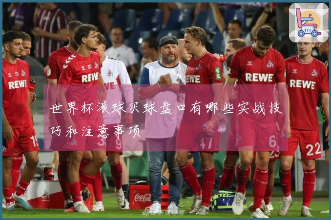 世界杯滚球买球盘口有哪些实战技巧和注意事项