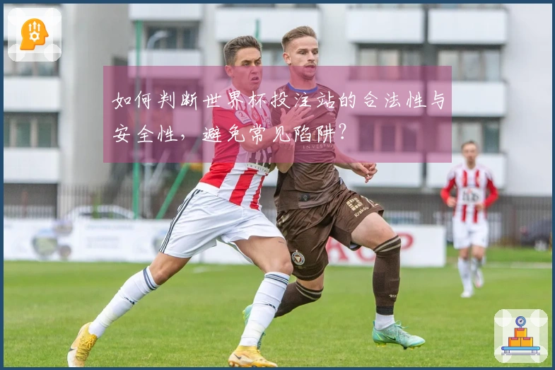如何判断世界杯投注站的合法性与安全性,避免常见陷阱?