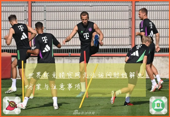 世界杯竞猜官网无法访问时的解决方案与注意事项