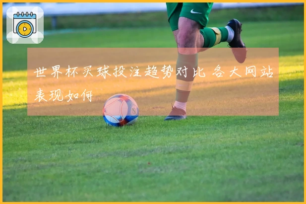 世界杯买球投注趋势对比 各大网站表现如何